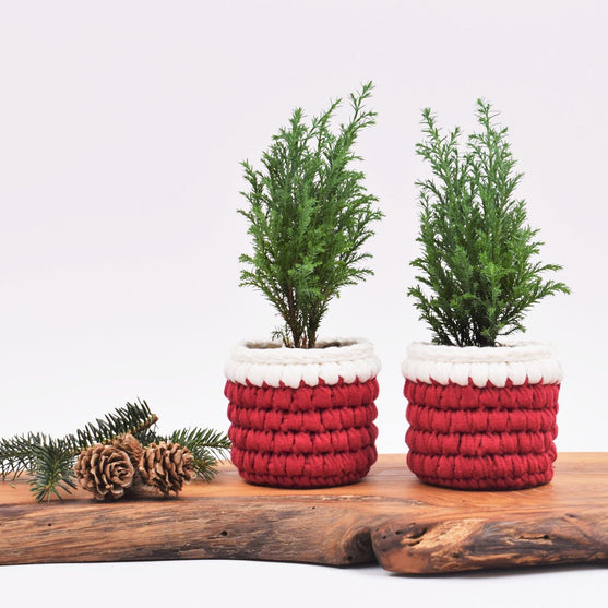 Weihnachtsübertopf – Klein
1