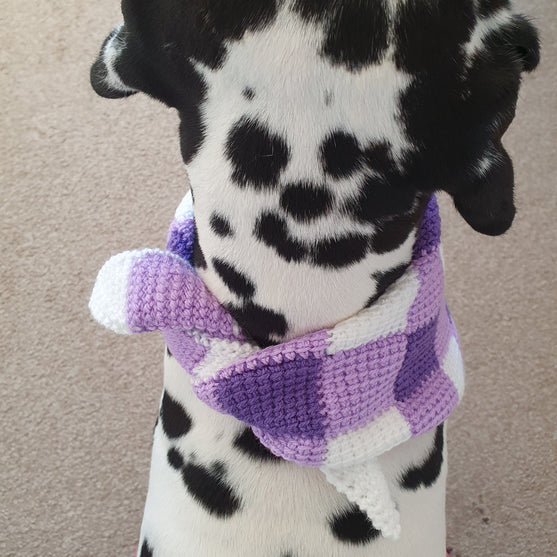 Summer Picnic - Hundehalstuch
3