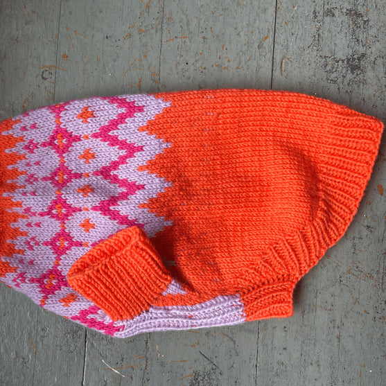 Bichon Havanais - Hundepullover
4