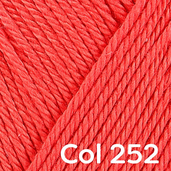 Catania - Schachenmayr
41