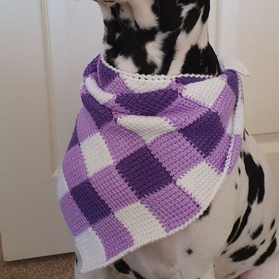 Summer Picnic - Hundehalstuch
2