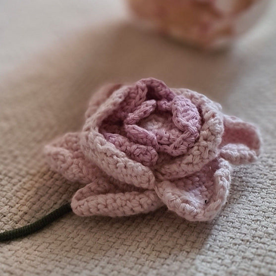 Peonie Flower
2