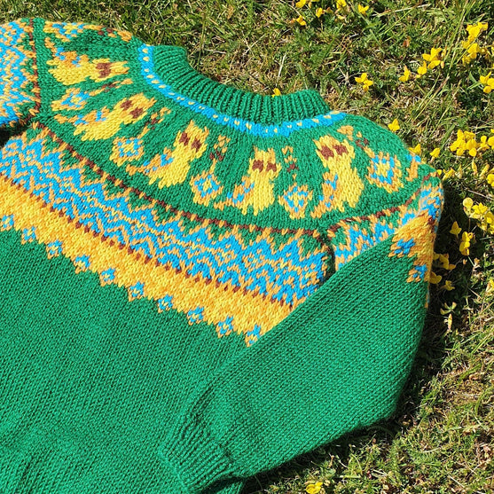 Silly Owl - Kinderpullover
5