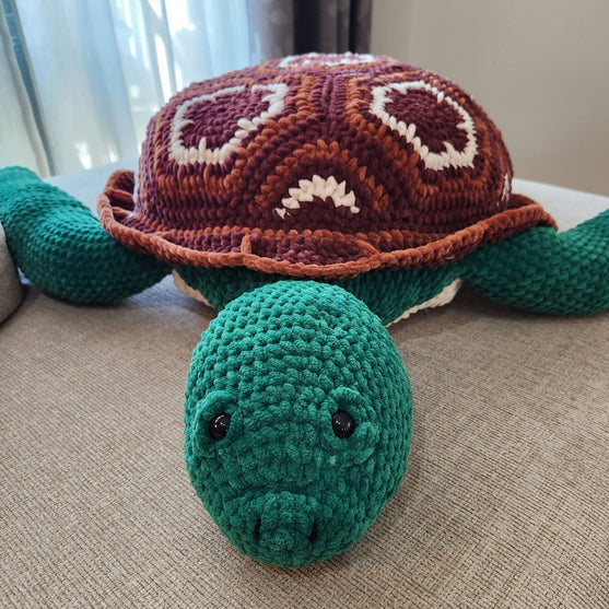 Splash, die Meeresschildkröte
3