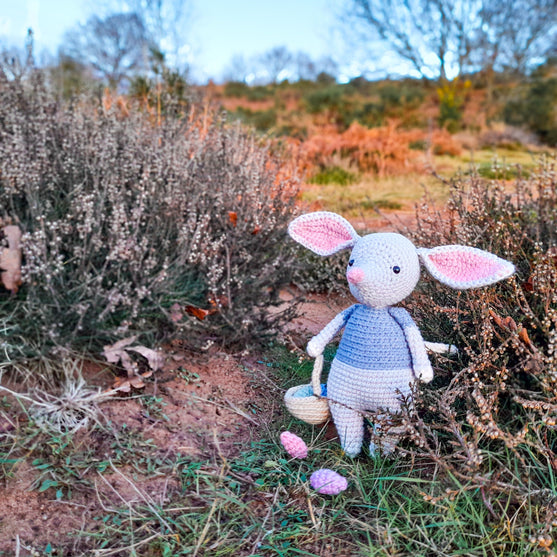 Alice, der Oster-Bilby
2