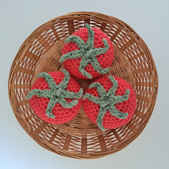 Gemüse – Tomate, Aubergine und Paprika
3