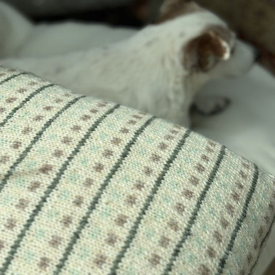 Homebody - Kissenhülle
4