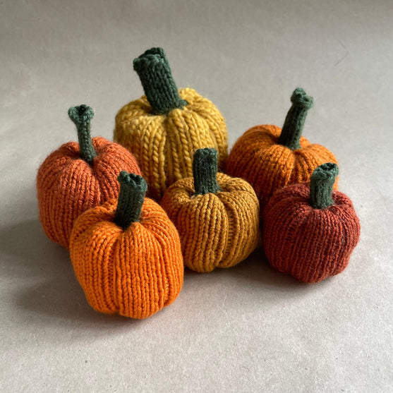 Mini-Kürbis - Kleine Deko-Kürbisse
7