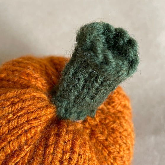 Mini-Kürbis - Kleine Deko-Kürbisse
4
