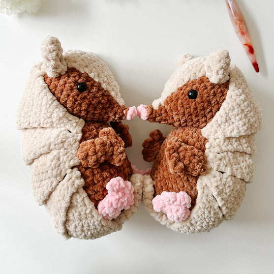 Das Gürteltier Armando
4