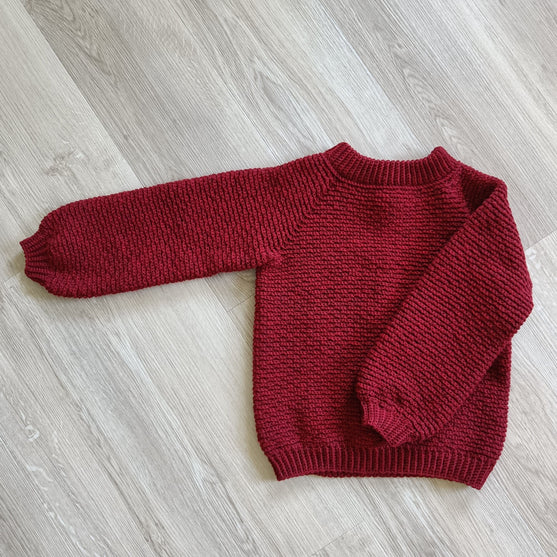 Hektors Sweater - Kinderpullover
4
