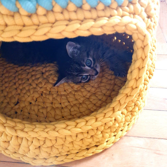 Purrfect - Katzenhöhle
2