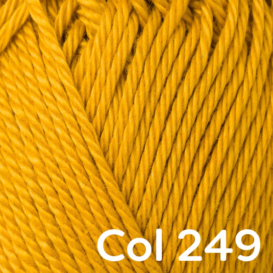 Catania - Schachenmayr
38