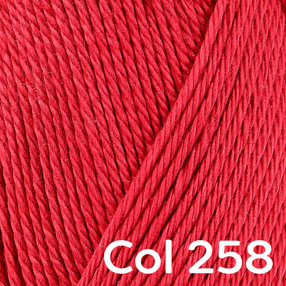 Catania - Schachenmayr
45