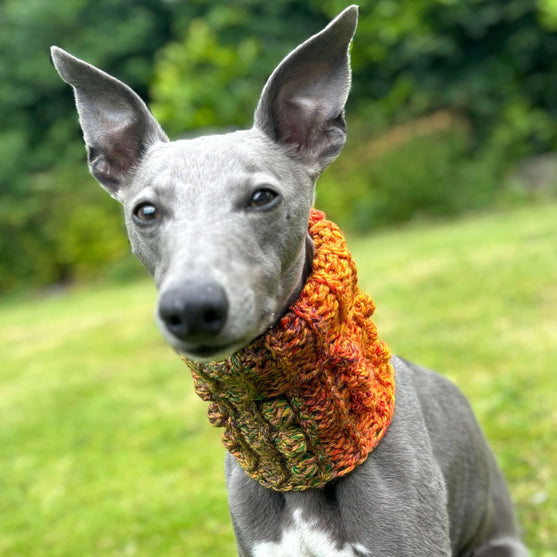 Doggy Bobble - Schalkragen
4