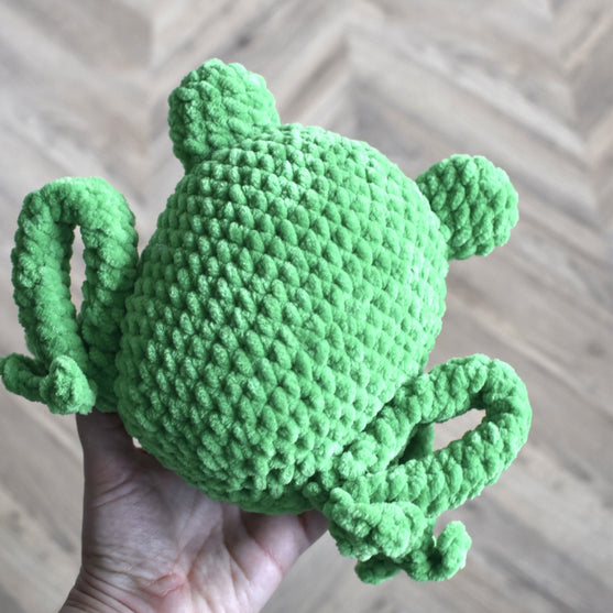 Splashy der Frosch
6