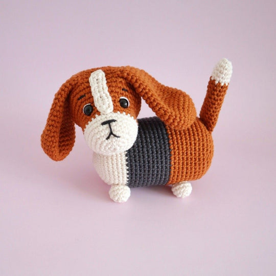 Gus, der Basset