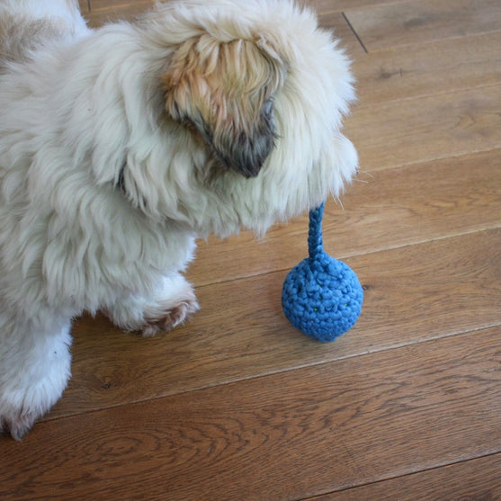 Haletudse - Hundespielzeug
4