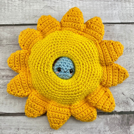 Sonne - Überraschung
2