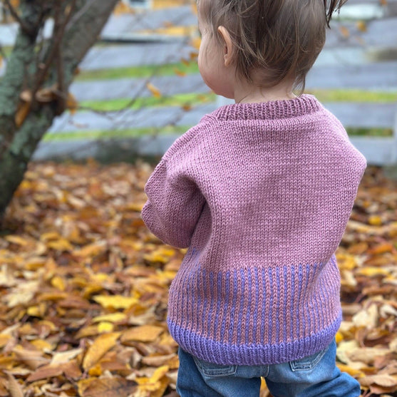 Easy Colour Mix Sweater Junior - Pullover
3
