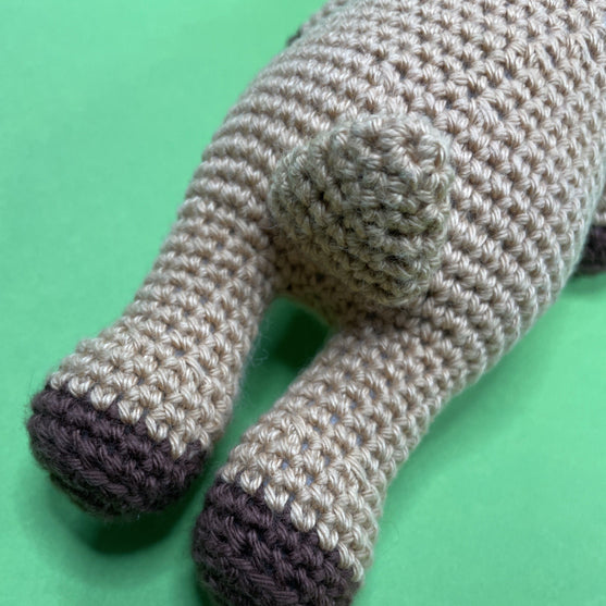 Steinbock - Sternzeichen
8