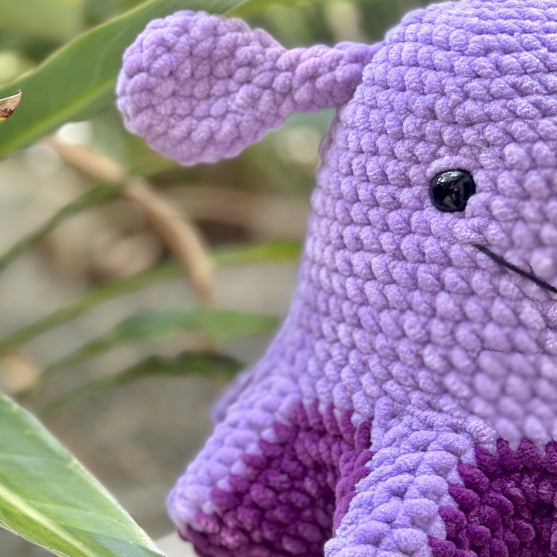 Wade der Schirm-Oktopus
3