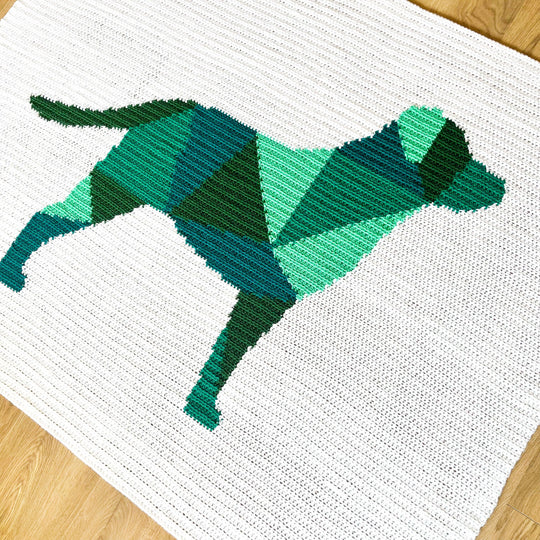 Labrador - Decke