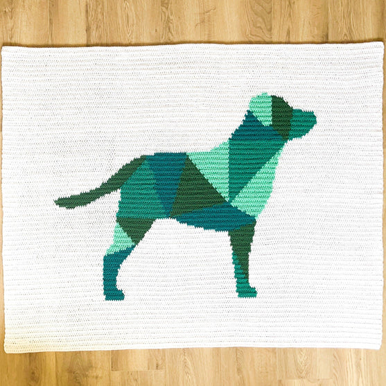 Labrador - Decke
2