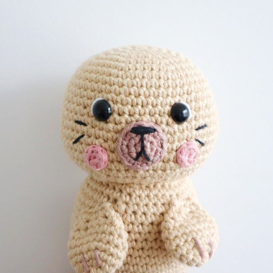 Sandy, der Seelöwe
4