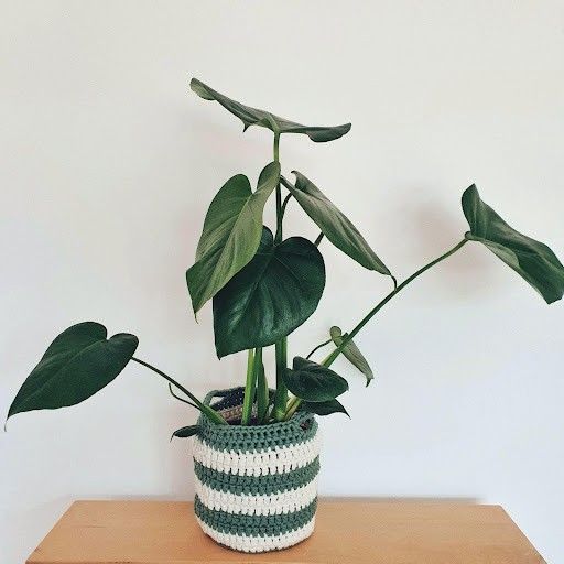 June - Pflanzenkorb
3