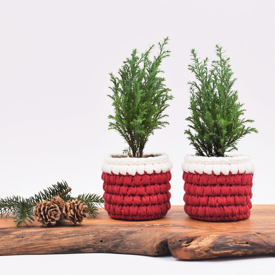 Weihnachtsübertopf – Klein