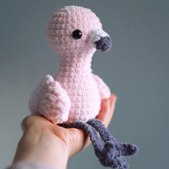 

Flora Flamingo
1