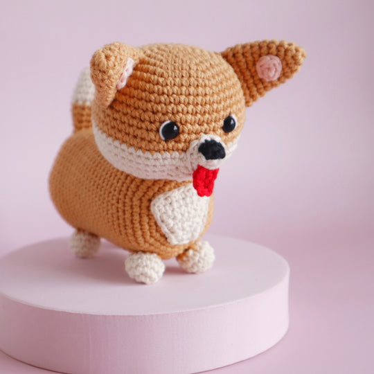 Cooper der Corgi