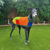 

Wally - Hunde-Pullover
1