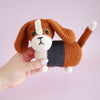

Gus, der Basset
7
