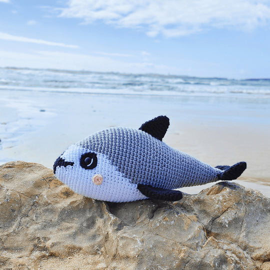 Vaquita-Schweinswal