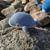 

Blauwal
5