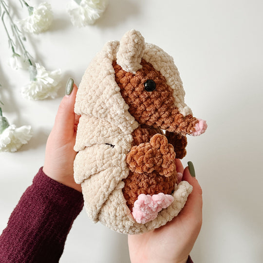 Das Gürteltier Armando