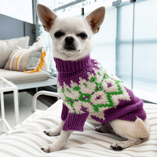 Chihuahua - Hundepullover