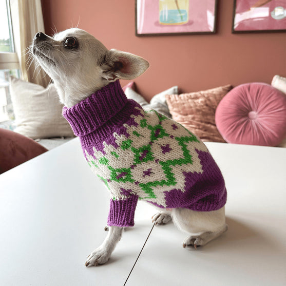 

Chihuahua - Hundepullover
3