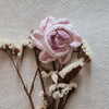 

Peonie Flower
1