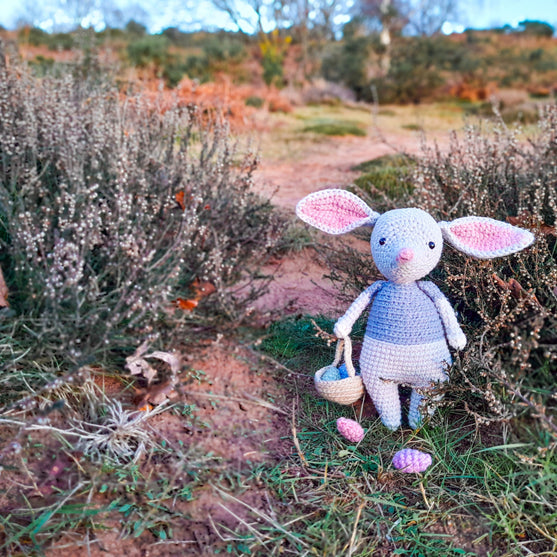 

Alice, der Oster-Bilby
1