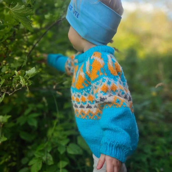 

Happy Fox – Kinderpullover
1