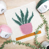 

Snake Plant - Wandbehang
2