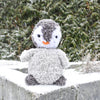 

Pippo der Pinguin
1