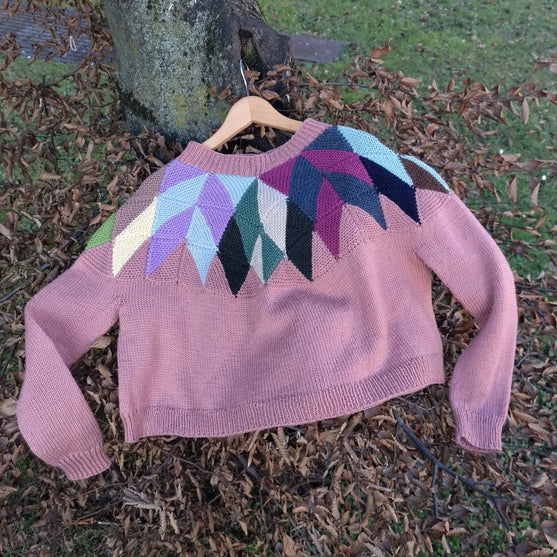 

Intarsia - Pullover
1