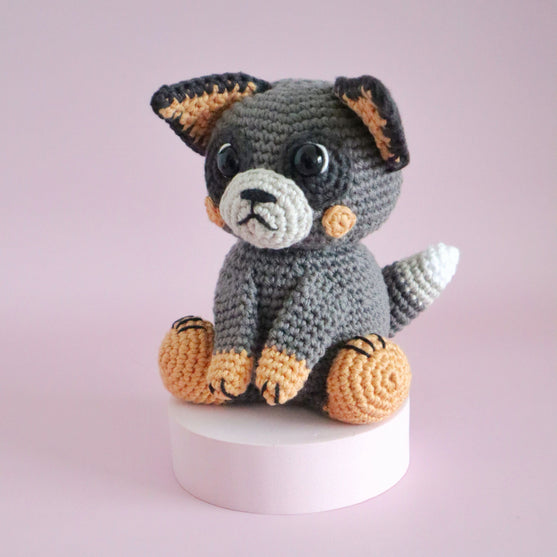 

Buddy der australische Schäferhund
4