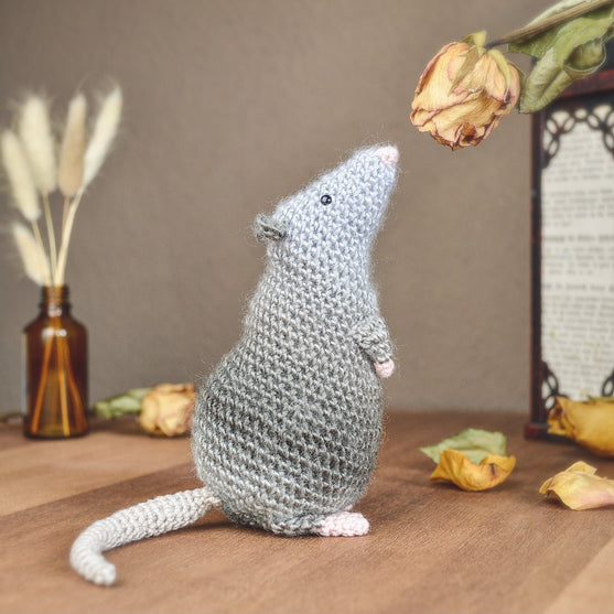 

Die Ratte Rüdiger
1