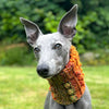 

Doggy Bobble - Schalkragen
2