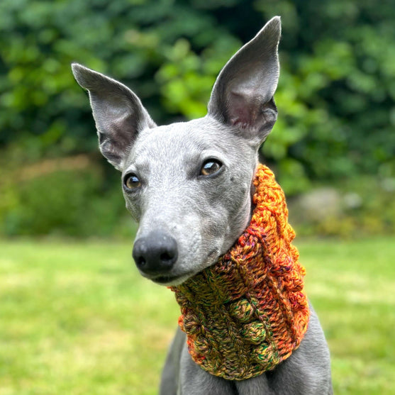 

Doggy Bobble - Schalkragen
2